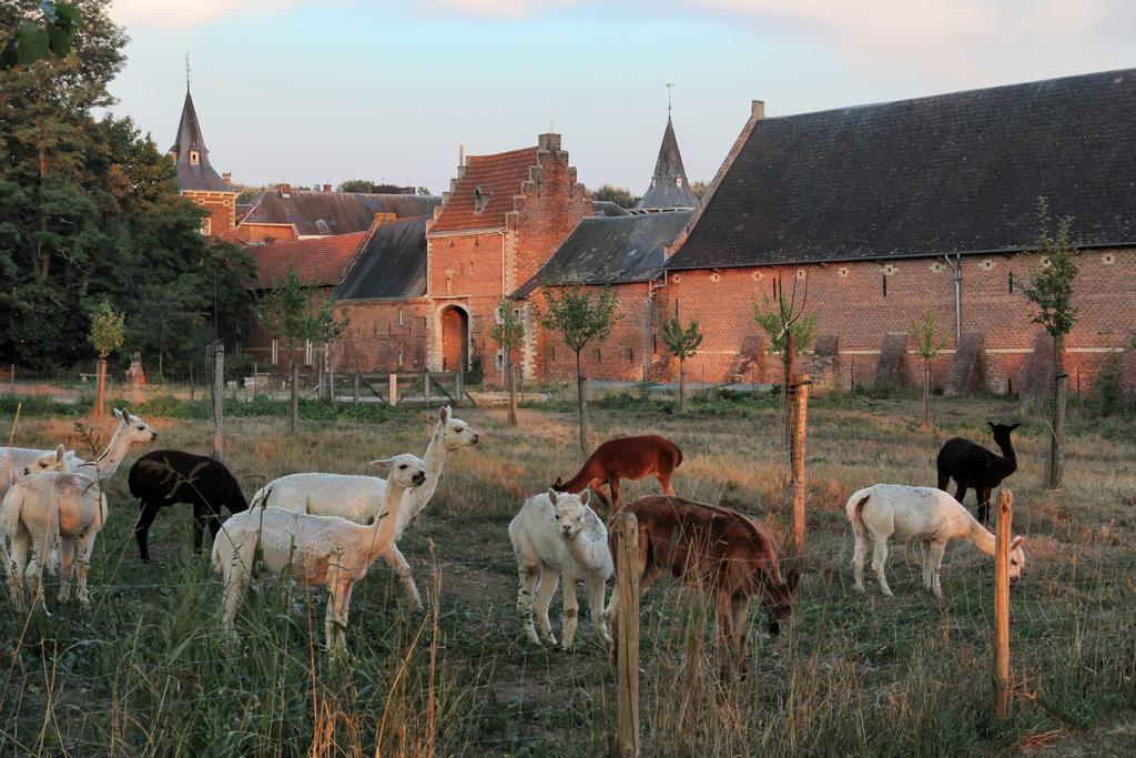 Kasteel Nieuwenhoven Leilighet Sint-Truiden Eksteriør bilde